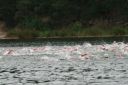 Filename=2011_07_31_012.jpg
Filesize=61KiB
Dimensions=800x533
Date added=Aug 19, 2012 2011_07_31_012.jpg
