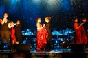 Filename=2012-05-12_014.jpg
Filesize=503KiB
Dimensions=1024x685
Date added=Oct 09, 2012 2012-05-12_014.jpg