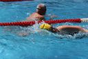 Filename=IMG_4138.JPG
Filesize=71KiB
Dimensions=518x346
Date added=Jul 25, 2015 IMG_4138.JPG