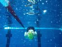 Filename=IMG_6042.JPG
Filesize=84KiB
Dimensions=768x576
Date added=Jul 17, 2014 IMG_6042.JPG