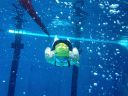 Filename=IMG_6043.JPG
Filesize=93KiB
Dimensions=768x576
Date added=Jul 17, 2014 IMG_6043.JPG