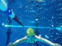 Filename=IMG_6044.JPG
Filesize=109KiB
Dimensions=768x576
Date added=Jul 17, 2014 IMG_6044.JPG