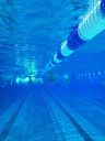 Filename=IMG_6046.JPG
Filesize=78KiB
Dimensions=576x768
Date added=Jul 17, 2014 IMG_6046.JPG