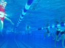 Filename=IMG_6048.JPG
Filesize=64KiB
Dimensions=768x576
Date added=Jul 17, 2014 IMG_6048.JPG
