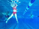 Filename=IMG_6049.JPG
Filesize=68KiB
Dimensions=768x576
Date added=Jul 17, 2014 IMG_6049.JPG
