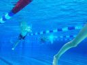 Filename=IMG_6053.JPG
Filesize=74KiB
Dimensions=768x576
Date added=Jul 17, 2014 IMG_6053.JPG
