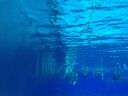 Filename=IMG_6054.JPG
Filesize=67KiB
Dimensions=768x576
Date added=Jul 17, 2014 IMG_6054.JPG