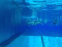 Filename=IMG_6055.JPG
Filesize=60KiB
Dimensions=768x576
Date added=Jul 17, 2014 IMG_6055.JPG