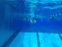 Filename=IMG_6056.JPG
Filesize=59KiB
Dimensions=768x576
Date added=Jul 17, 2014 IMG_6056.JPG