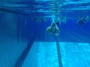 Filename=IMG_6057.JPG
Filesize=58KiB
Dimensions=768x576
Date added=Jul 17, 2014 IMG_6057.JPG
