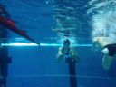 Filename=IMG_6061.JPG
Filesize=89KiB
Dimensions=768x576
Date added=Jul 17, 2014 IMG_6061.JPG