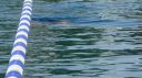 Filename=L1130696.JPG
Filesize=90KiB
Dimensions=717x403
Date added=Jul 25, 2015 L1130696.JPG