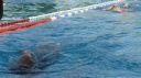 Filename=L1130702.JPG
Filesize=97KiB
Dimensions=717x403
Date added=Jul 25, 2015 L1130702.JPG
