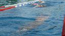 Filename=L1130703.JPG
Filesize=95KiB
Dimensions=717x403
Date added=Jul 25, 2015 L1130703.JPG
