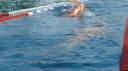 Filename=L1130704.JPG
Filesize=95KiB
Dimensions=717x403
Date added=Jul 25, 2015 L1130704.JPG