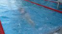 Filename=L1130712.JPG
Filesize=85KiB
Dimensions=717x403
Date added=Jul 25, 2015 L1130712.JPG