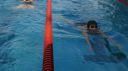 Filename=L1130720.JPG
Filesize=75KiB
Dimensions=717x403
Date added=Jul 25, 2015 L1130720.JPG