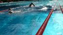 Filename=L1130766.JPG
Filesize=102KiB
Dimensions=717x403
Date added=Jul 25, 2015 L1130766.JPG