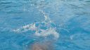 Filename=L1130973.JPG
Filesize=86KiB
Dimensions=717x403
Date added=Jul 25, 2015 L1130973.JPG