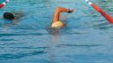Filename=L1130980.JPG
Filesize=79KiB
Dimensions=717x403
Date added=Jul 25, 2015 L1130980.JPG